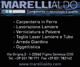 Amici carnevale 2019