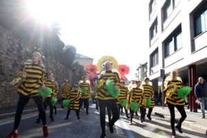 Carnevale_canturino_NM_20190217_044