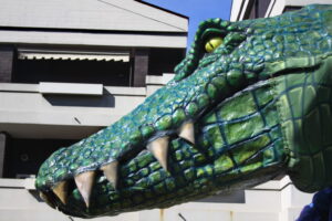 carnevale cantù 2019 0006