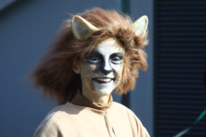 carnevale cantù 2019 0023