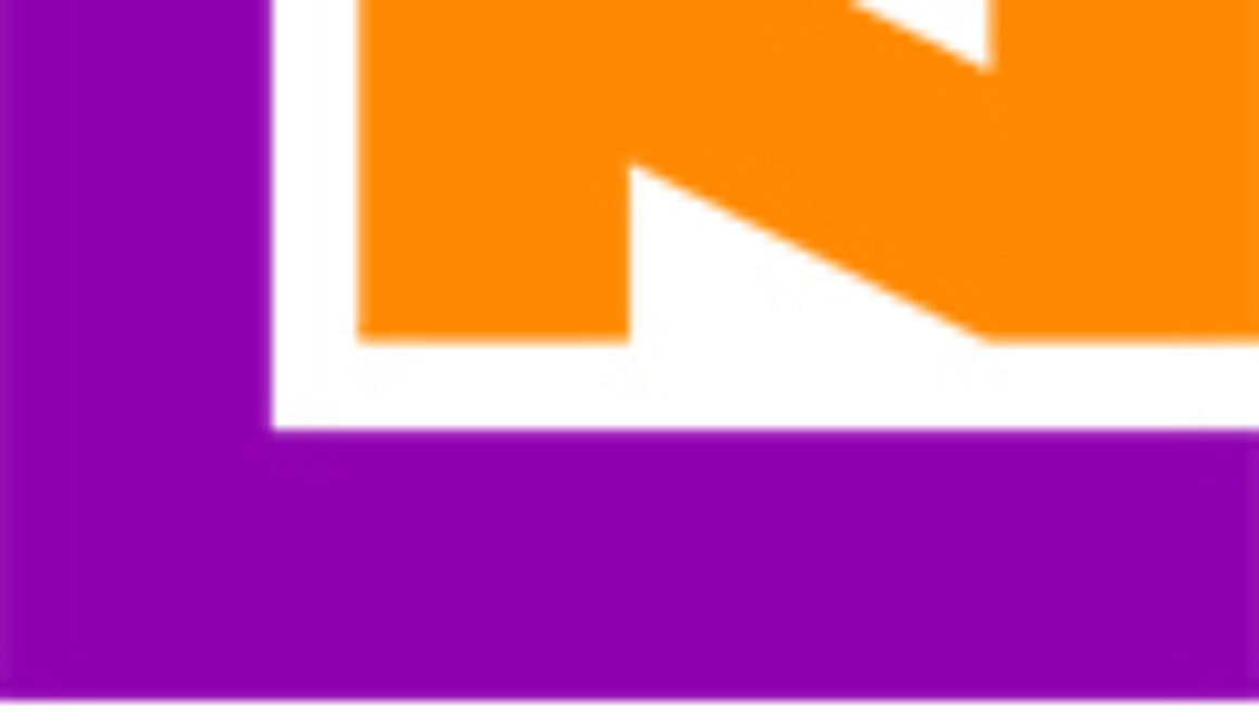 logo_LN_International