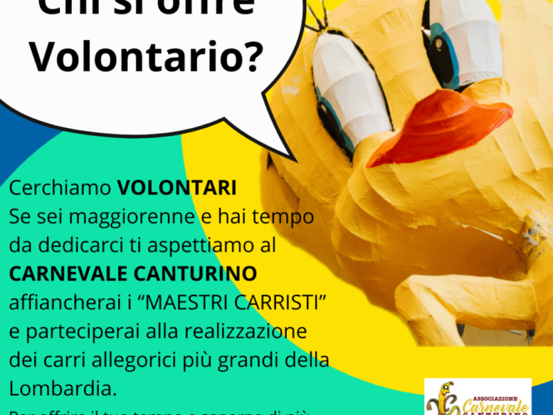 Chi si offre Vplontario (1)
