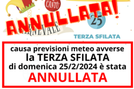 carnevalecanturino.com (10)