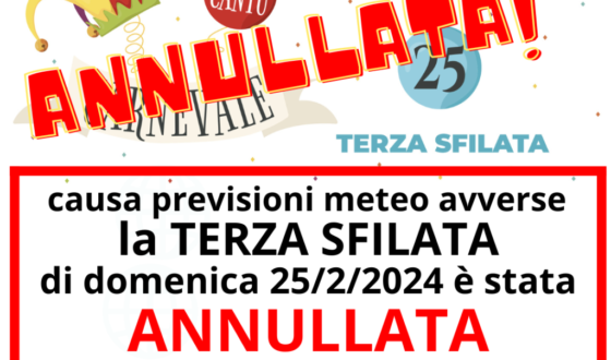 carnevalecanturino.com (10)