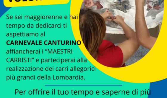 Cerchiamo Volontari