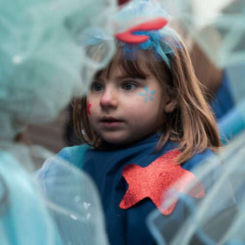_DSC5334 copy